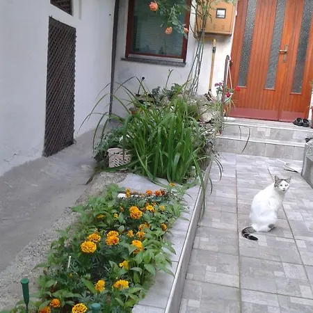 Ferienwohnung Yasmin Sarajevo Zimmer foto