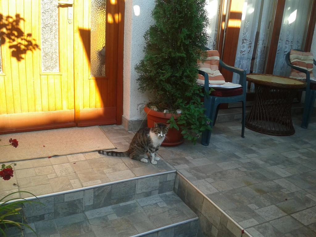 Appartamento Yasmin *